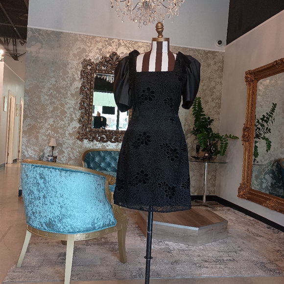 Elliott Lace mini dress with puffy short sleeve - Picture 2 of 3